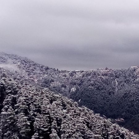 Shimla Regency Hotell Eksteriør bilde