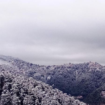 Shimla Regency Hotell Eksteriør bilde